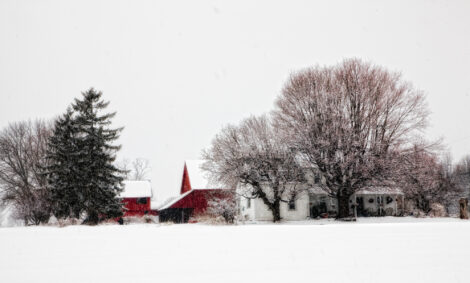 Preparing Your Homestead for Winter